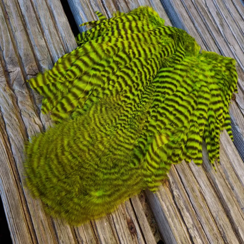 Whiting Rooster Soft Hackle with Chickabou in Grizzly Dyed Fl.Green Chartreuse-1