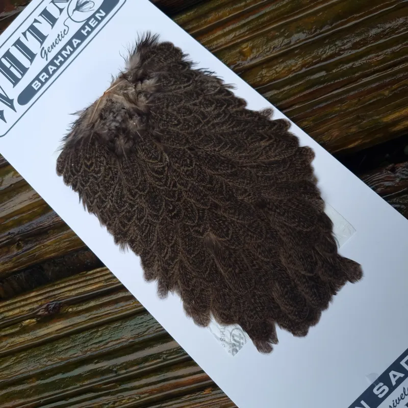 Whiting Brahma Hen Saddle in Tan-1