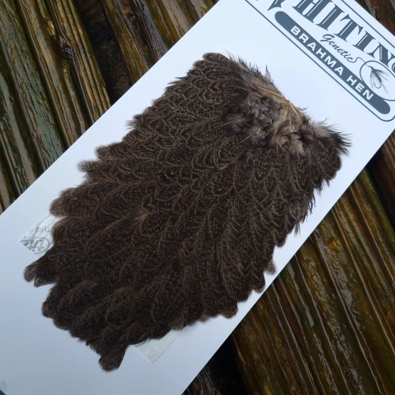 Whiting Brahma Hen Saddle in Tan-2