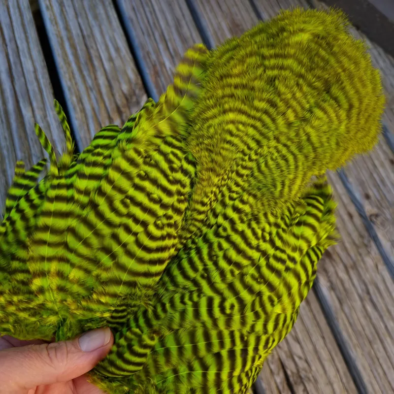 Whiting Rooster Soft Hackle with Chickabou in Grizzly Dyed Fl.Green Chartreuse