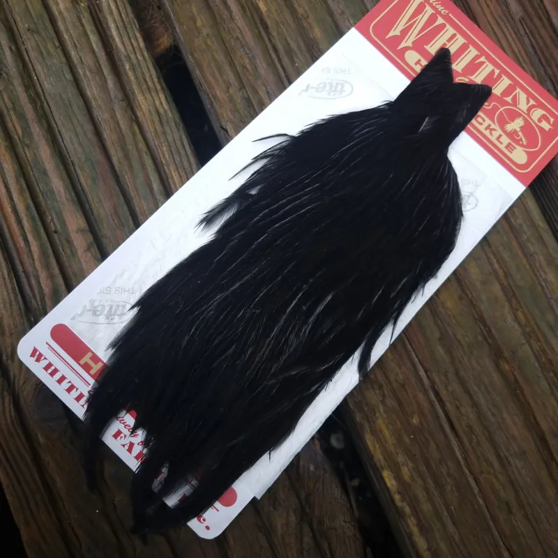 Whiting Hen Cape in Dyed Black C-2