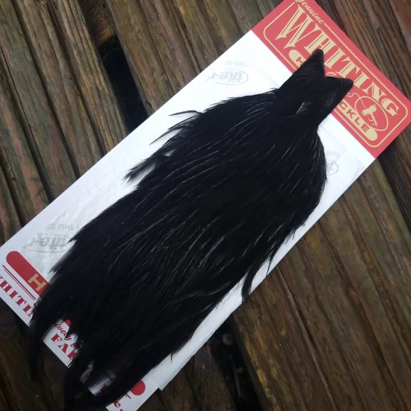 Whiting Hen Cape in Dyed Black C