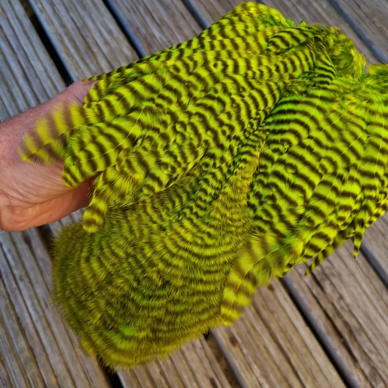 Whiting Rooster Soft Hackle with Chickabou in Grizzly Dyed Fl.Green Chartreuse-5