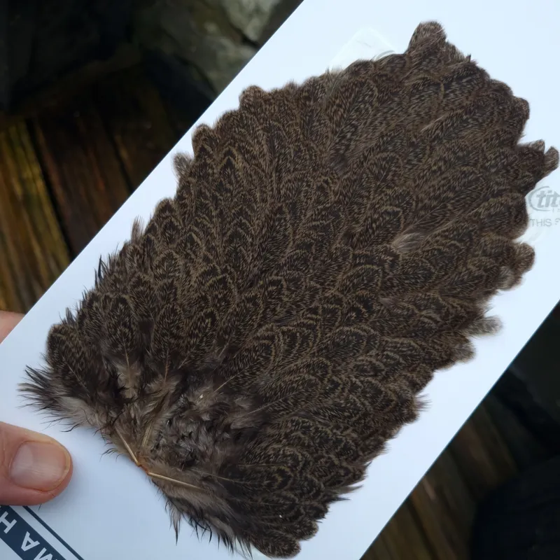 Whiting Brahma Hen Saddle in Tan-5