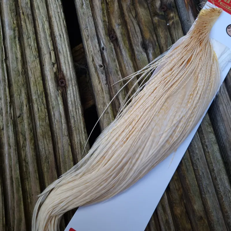 Whiting 1/2 Bronze Grade Dry Fly Rooster Cape in Barred Medium Ginger-2