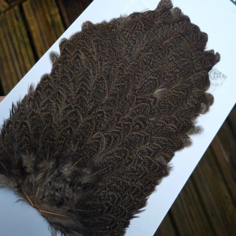 Whiting Brahma Hen Saddle in Tan