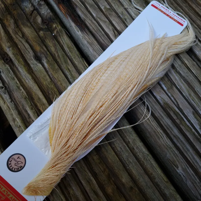 Whiting 1/2 Bronze Grade Dry Fly Rooster Cape in Barred Medium Ginger-3