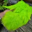 Whiting Rooster Soft Hackle with Chickabou in White Dyed Fl.Green Chartreuse