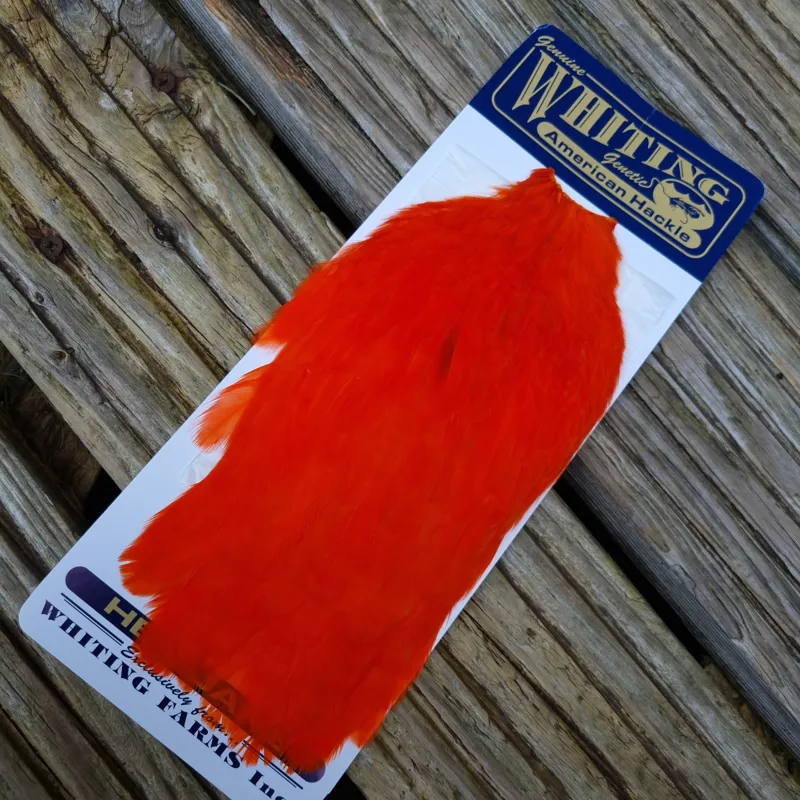 Whiting American Hen Cape in Orange-3