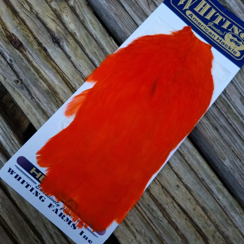 Whiting American Hen Cape in Orange-2