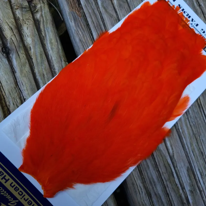 Whiting American Hen Cape in Orange-4