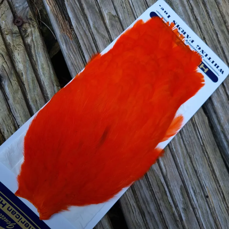 Whiting American Hen Cape in Orange-5