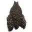 Whiting 4B Hen Cape in Grizzly