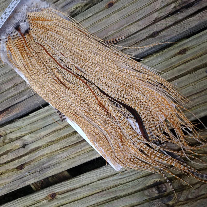 Whiting Heritage Hackles Rooster Saddle in Mixed Colours G STUNNING Speckled/Barred Light to Medium Barred Ginger Hackle Tying Approx 14/16 /18  -7