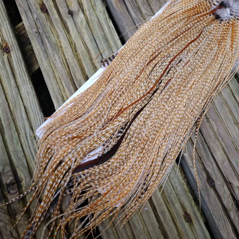 Whiting Heritage Hackles Rooster Saddle in Mixed Colours G STUNNING Speckled/Barred Light to Medium Barred Ginger Hackle Tying Approx 14/16 /18  -3
