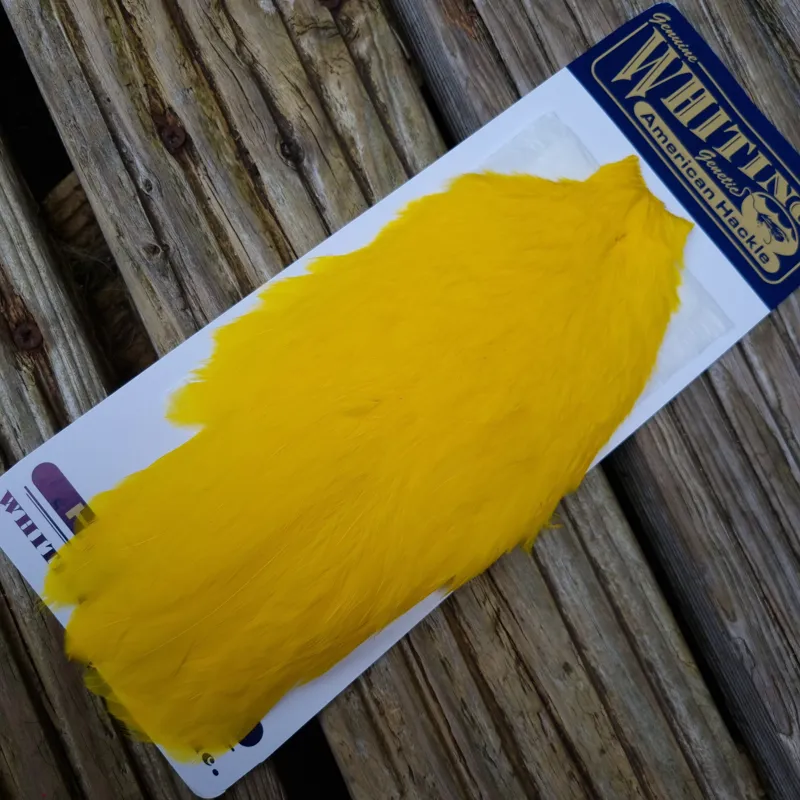 Whiting American Hen Cape in Yellow-1