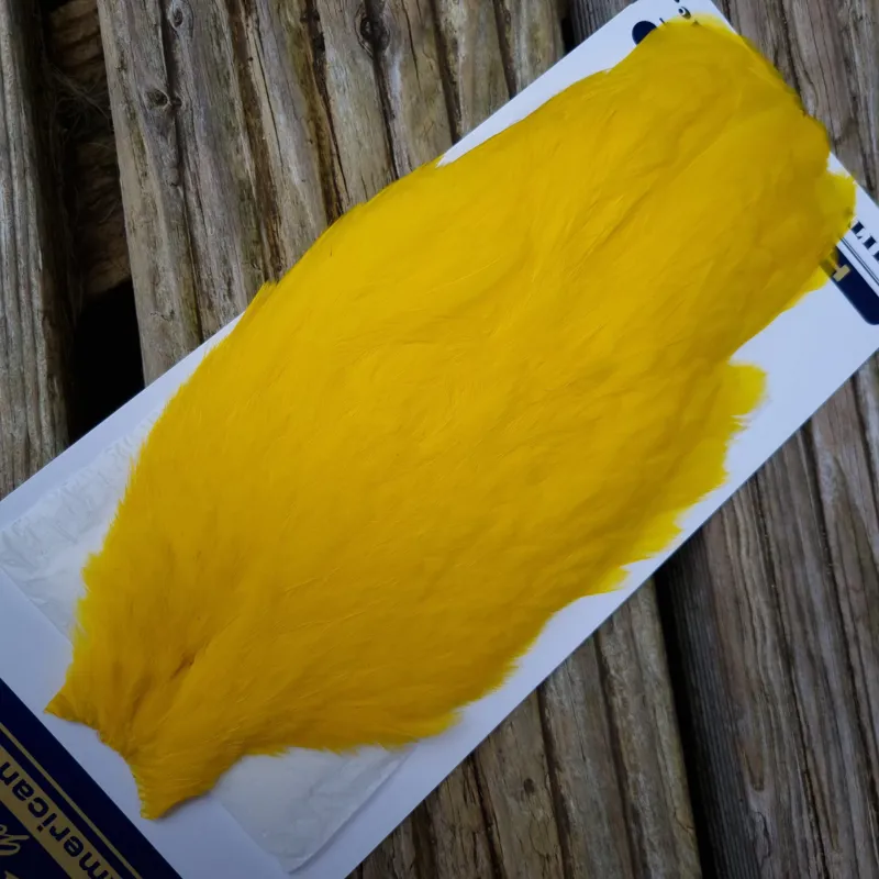 Whiting American Hen Cape in Yellow-3