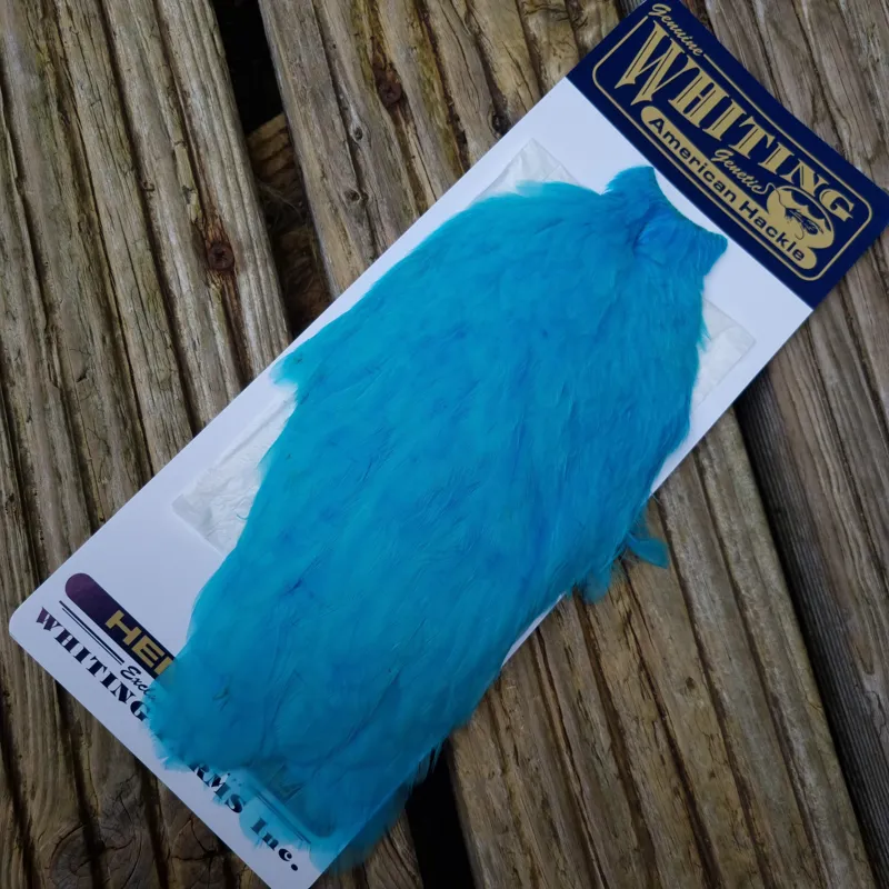 Whiting American Hen Cape in Silver Dr.Blue-1