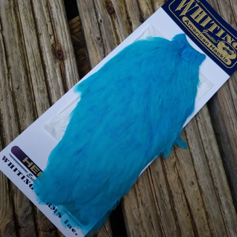 Whiting American Hen Cape in Silver Dr.Blue