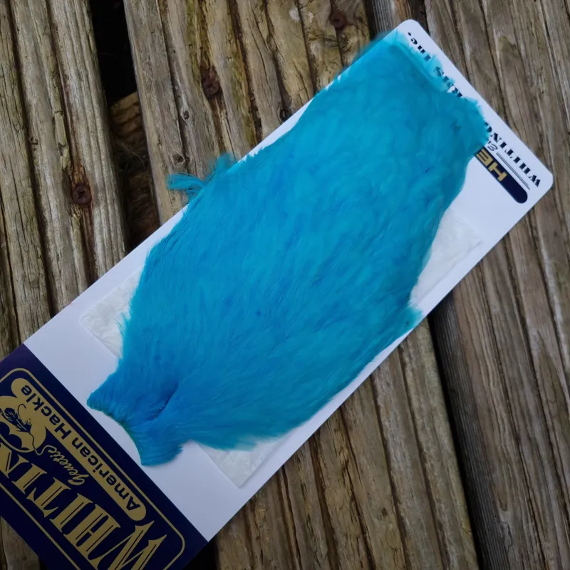 Whiting American Hen Cape in Silver Dr.Blue-2