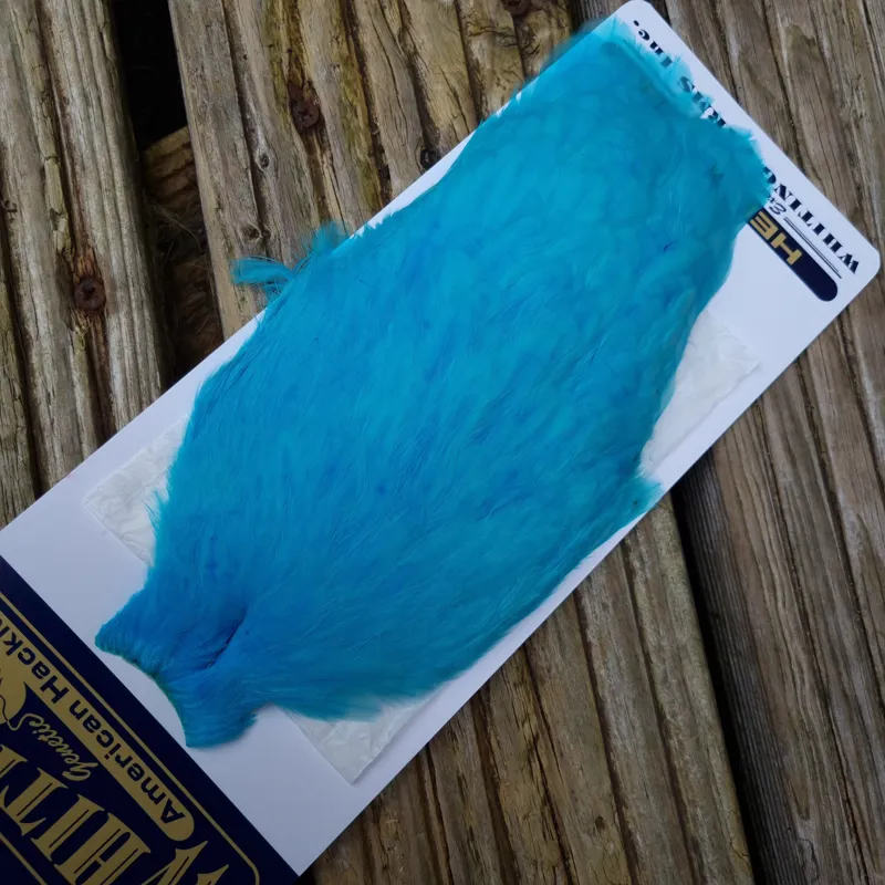 Whiting American Hen Cape in Silver Dr.Blue-3