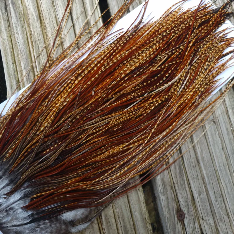 Whiting Pro-Grade Midge Rooster Saddle in Barred Dark Ginger A Approx Tying Sizes 16 18 20 22  24 26 and out of sight-9