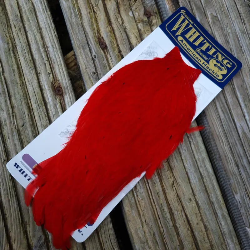 Whiting American Hen Cape in Red-2