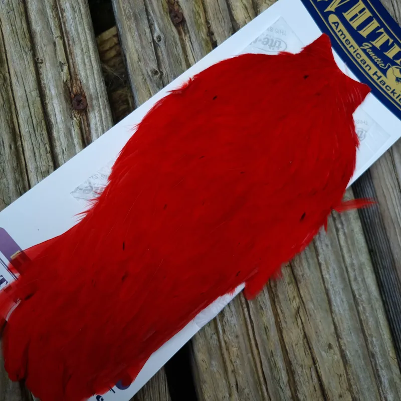 Whiting American Hen Cape in Red