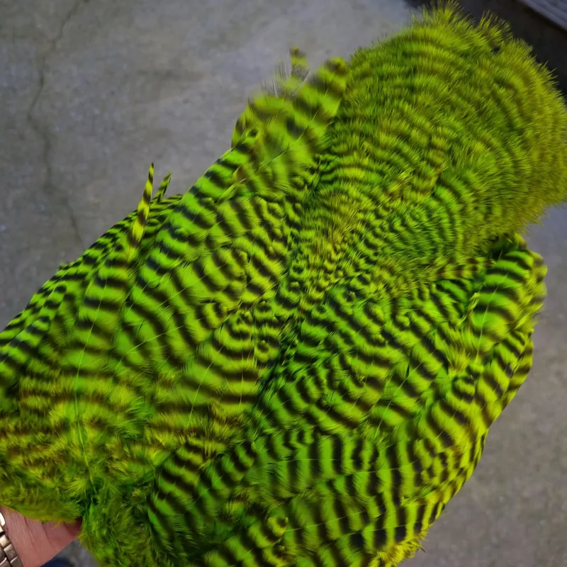 Whiting Rooster Soft Hackle with Chickabou in Grizzly Dyed Fl.Green Chartreuse-10