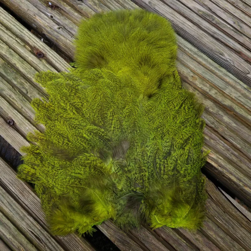 Whiting Coq de Leon Hen Soft Hackle with Chickabou in Speckled Fl.Yellow Chartreuse-5