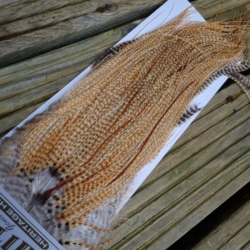 Whiting Heritage Hackles Rooster Saddle in Mixed Colours G STUNNING Speckled/Barred Light to Medium Barred Ginger Hackle Tying Approx 14/16 /18  -5