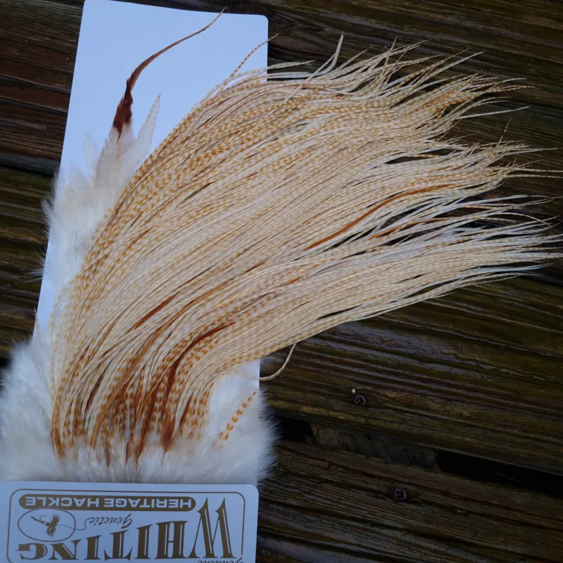 Whiting Heritage Hackles Rooster Saddle in Mixed Colours E Barred Blonde/ Light Ginger Barred Blonde/ Medium Ginger Barred Blonde Tying approx size 12/14/16 /18 with a few going smaller-4