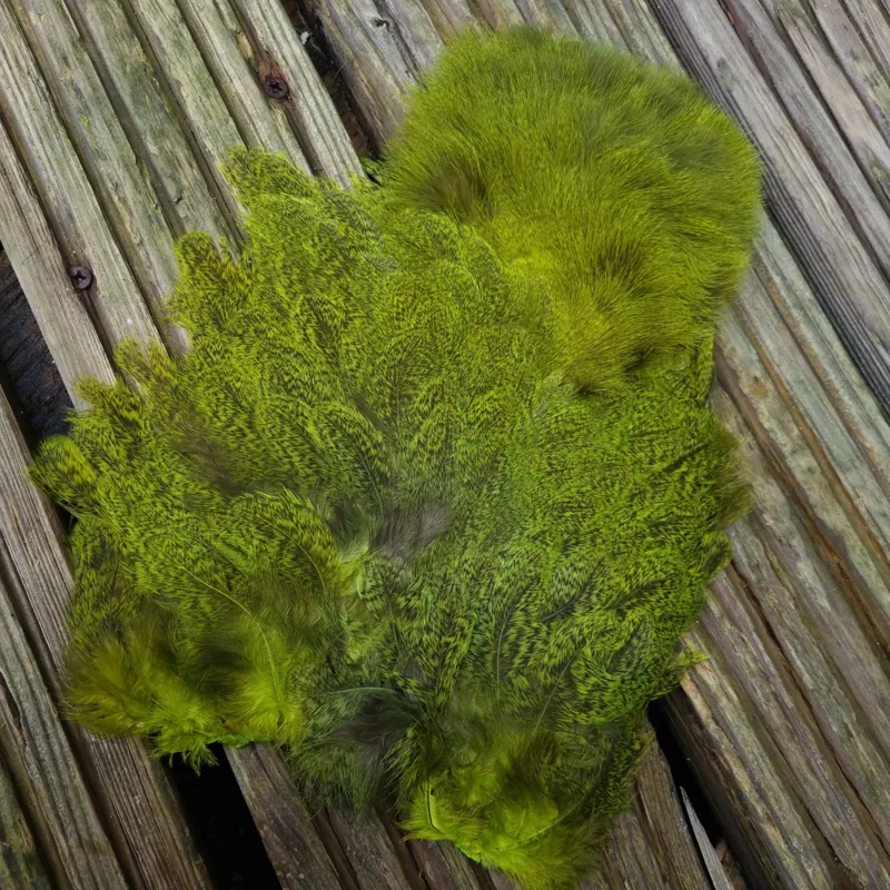 Whiting Coq de Leon Hen Soft Hackle with Chickabou in Speckled Fl.Yellow Chartreuse-6