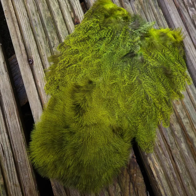 Whiting Coq de Leon Hen Soft Hackle with Chickabou in Speckled Fl.Yellow Chartreuse-7