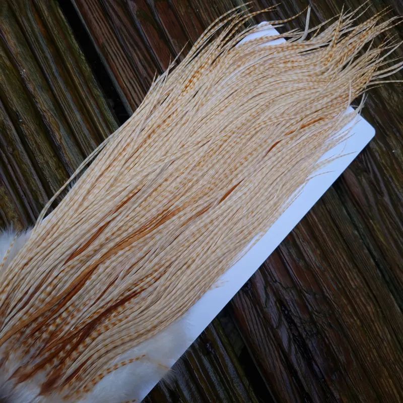 Whiting Heritage Hackles Rooster Saddle in Mixed Colours E Barred Blonde/ Light Ginger Barred Blonde/ Medium Ginger Barred Blonde Tying approx size 12/14/16 /18 with a few going smaller-5