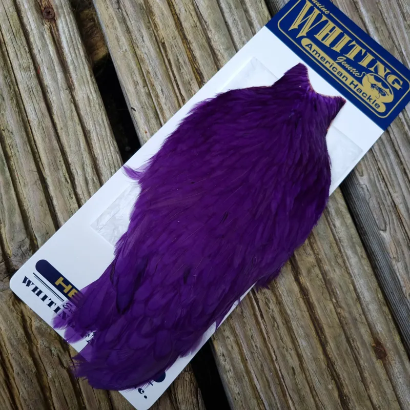 Whiting American Hen Cape in Purple-2