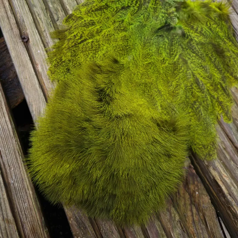 Whiting Coq de Leon Hen Soft Hackle with Chickabou in Speckled Fl.Yellow Chartreuse-8