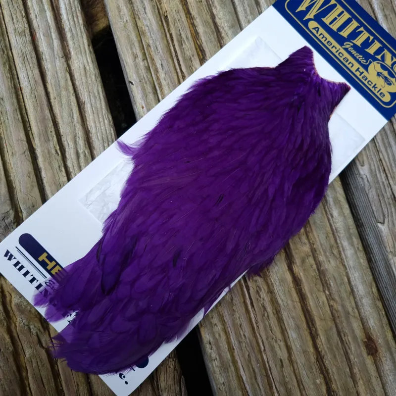 Whiting American Hen Cape in Purple