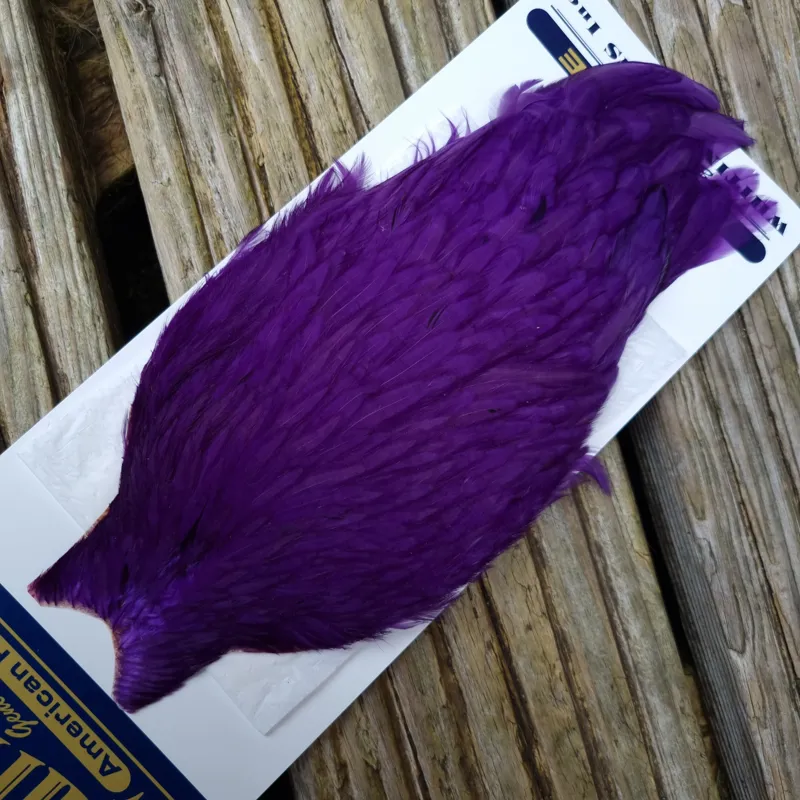 Whiting American Hen Cape in Purple-3