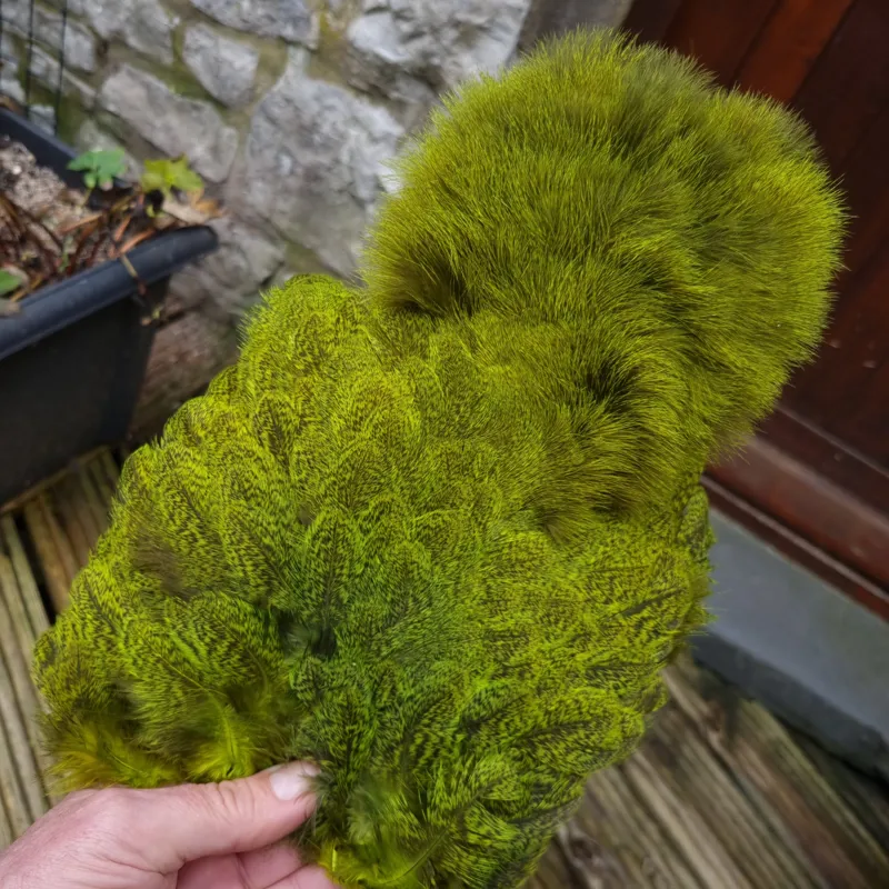 Whiting Coq de Leon Hen Soft Hackle with Chickabou in Speckled Fl.Yellow Chartreuse-4