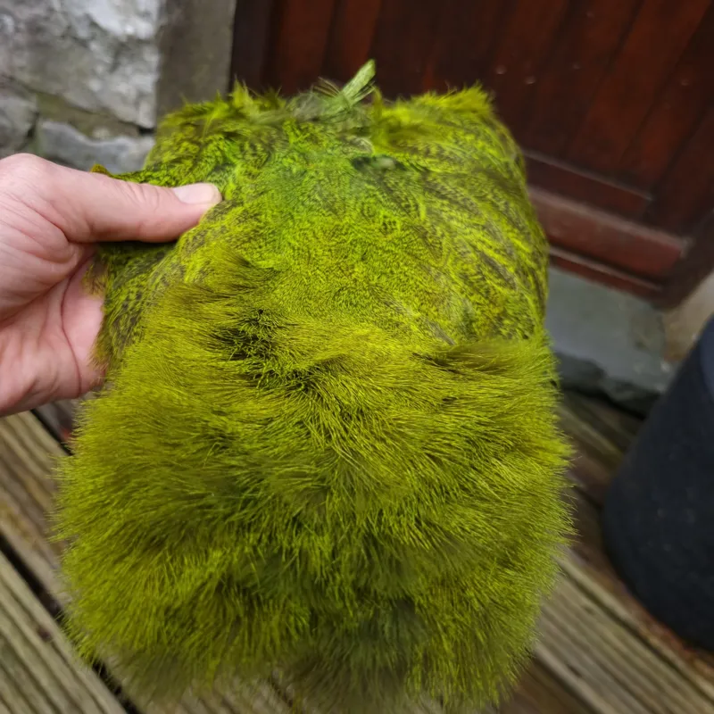 Whiting Coq de Leon Hen Soft Hackle with Chickabou in Speckled Fl.Yellow Chartreuse-2