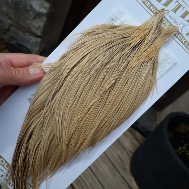 Whiting Heritage Hackles Rooster Cape in Mixed Colours C Sandy Dun Badger/Champagne Badger-4