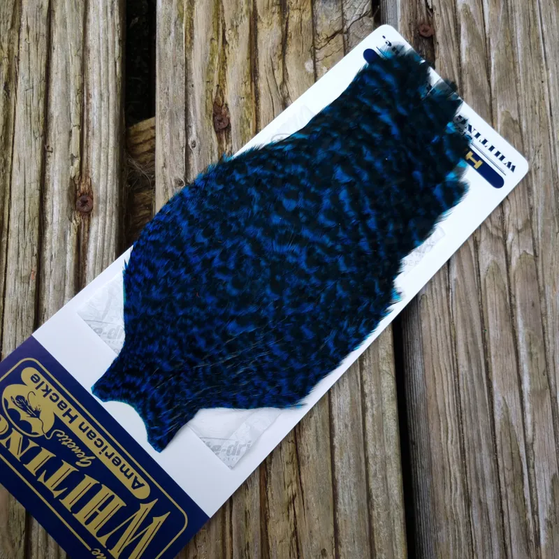 Whiting American Hen Cape in Grizzly Dyed Kingfisher Blue-3