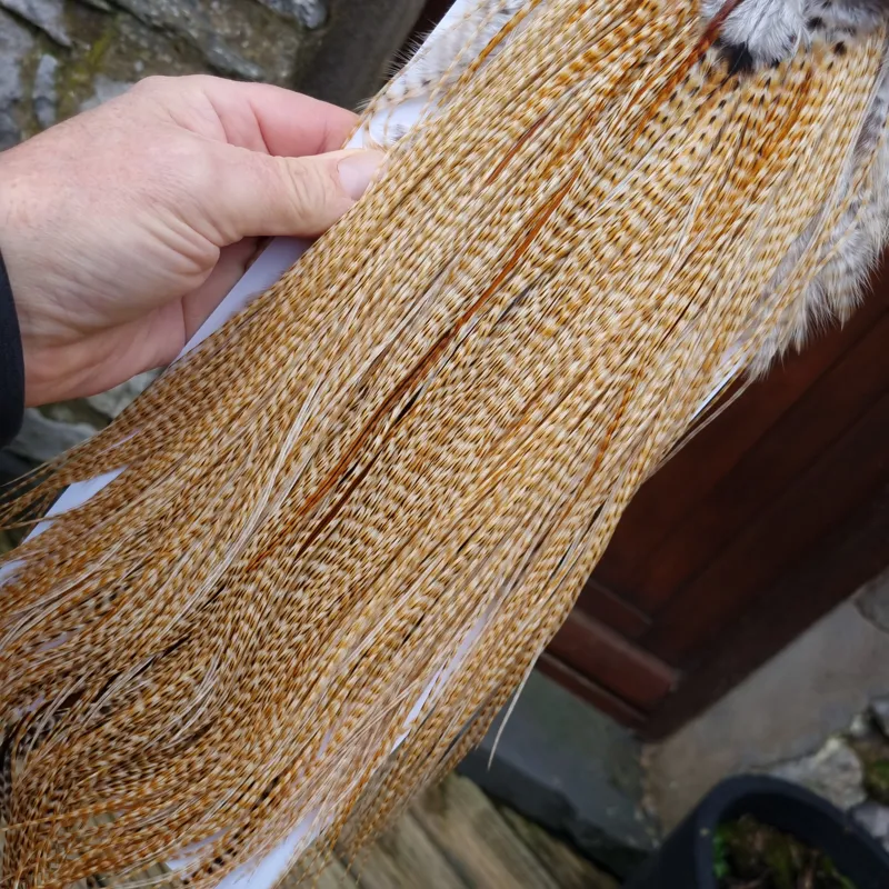 Whiting Heritage Hackles Rooster Saddle in Mixed Colours G STUNNING Speckled/Barred Light to Medium Barred Ginger Hackle Tying Approx 14/16 /18  -2