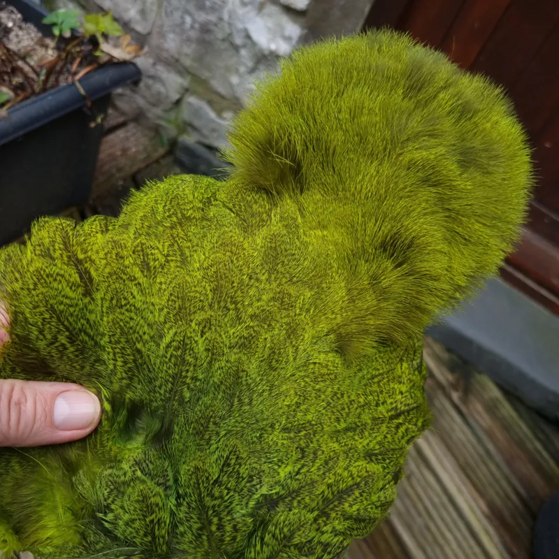 Whiting Coq de Leon Hen Soft Hackle with Chickabou in Speckled Fl.Yellow Chartreuse
