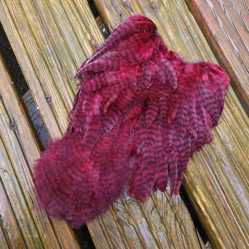 Whiting Rooster Soft Hackle with Chickabou in Grizzly Dyed Claret-3