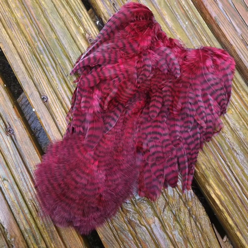 Whiting Rooster Soft Hackle with Chickabou in Grizzly Dyed Claret-5