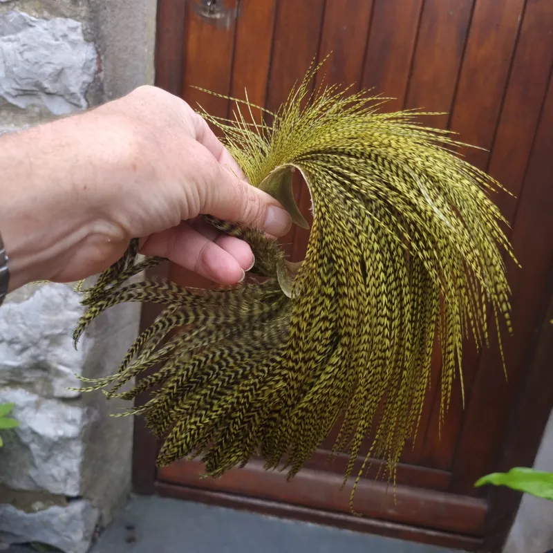 Whiting High and Dry Rooster Cape in Grizzly in Olive