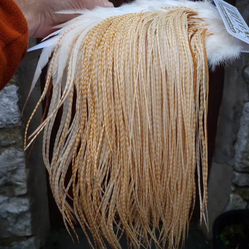 Whiting Heritage Hackles Rooster Saddle in Mixed Colours E Barred Blonde/ Light Ginger Barred Blonde/ Medium Ginger Barred Blonde Tying approx size 12/14/16 /18 with a few going smaller-1