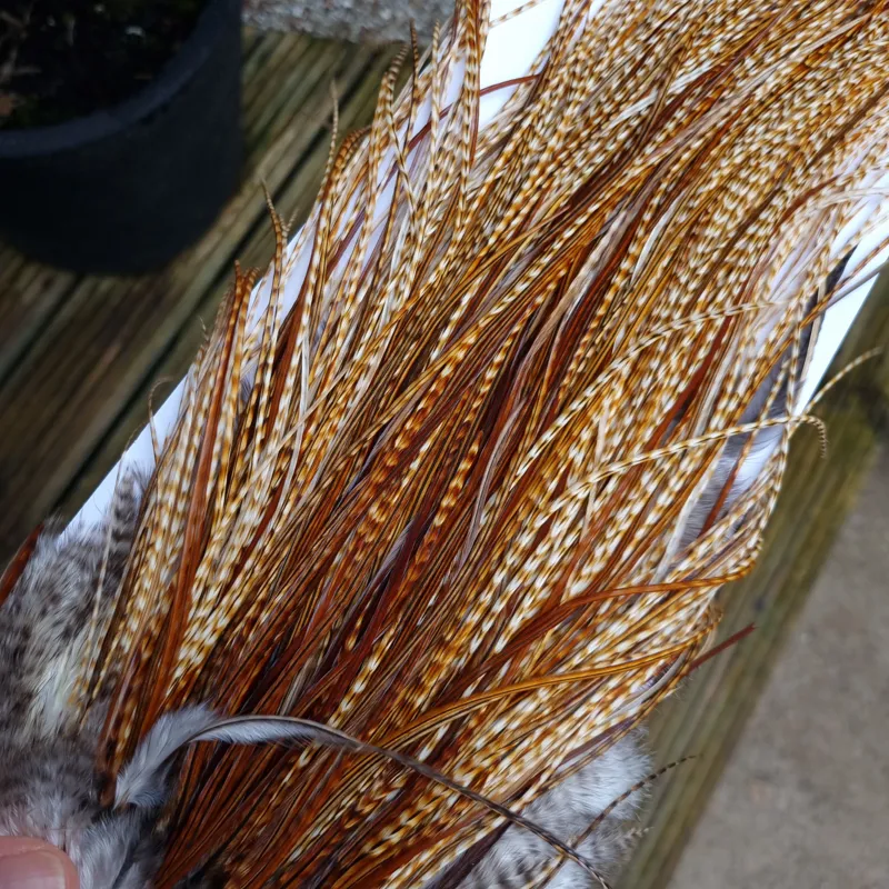 Whiting Heritage Hackles Rooster Saddle in Mixed Colours M Light/Medium and Dark Barred Ginger with a good splashing of Brassy Dun and a few Furnace down the centre Approx tying sizes 12/14/16/18-1